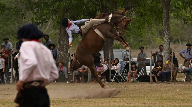 Seorang Gaucho berusaha mengendalikan kudanya di sebuah pertunjukkan rodeo selama "Hari Tradisi Gaucho ke-83" di San Antonio de Areco, Argentina, Sabtu (12/11/2022). [Luis ROBAYO / AFP]