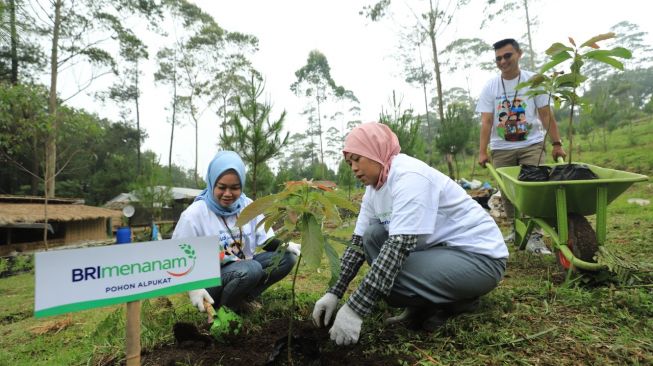 Dorong UMKM Jalankan Bisnis Berkelanjutan, BRI Salurkan Rp74,7 Triliun untuk Pembiayaan Hijau