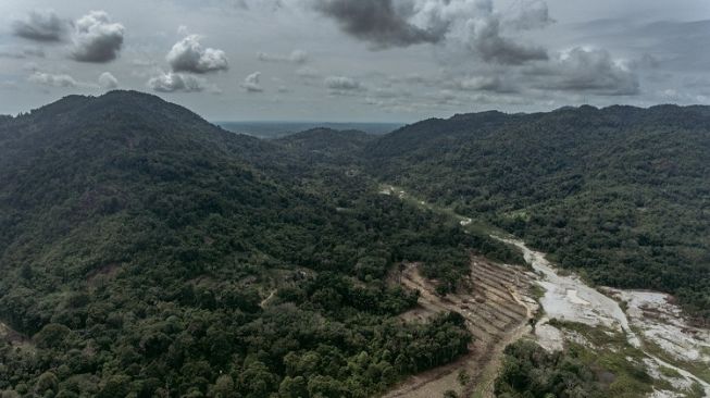 Bukit-bukit di Pulau Bangka, yang dianggap sebagai wilayah sakral mulai terancam aktivitas antropogenik. (Foto: Taufik Wijaya dan Nopri Ismi)