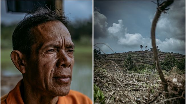 Kisah Para Dukun yang Menjaga Hutan Tersisa di Pulau Bangka
