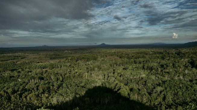 Ratusan tahun, titik ritual yang dijadikan para dukun sebagai titik ritual menjadi hutan tersisa di Pulau Bangka.  (Foto: Taufik Wijaya dan Nopri Ismi)