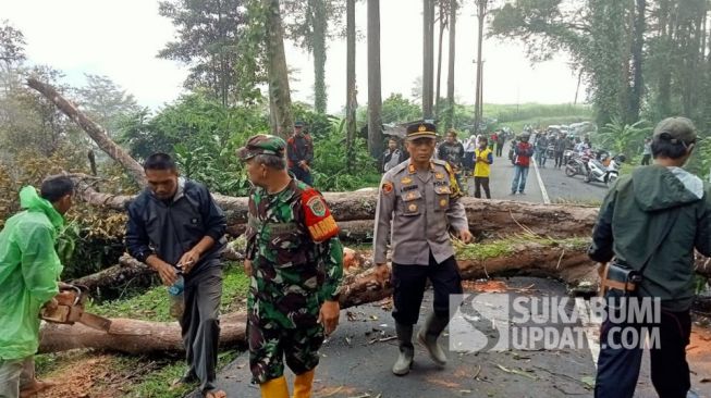 Pohon Karet di Cikidang Sukabumi Kembali Makan Korban, Pengendara Honda Beat Tewas di Tempat