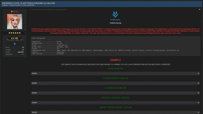 3,2 Miliar Data Peduli Lindungi Bocor! Bjorka Beri Sampel Data Milik Menkominfo, Luhut dan Deddy Corbuzier