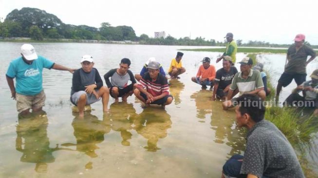 Tahun Ini Terparah, Banjir Rendam Sawah Petani Bojonegoro Tiga Hari Ini