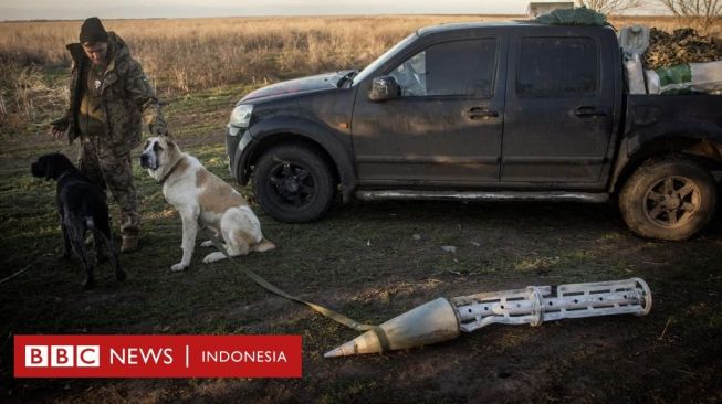 Rudal Jatuh di Polandia, Apakah Pintu Masuk NATO di Perang Ukraina?