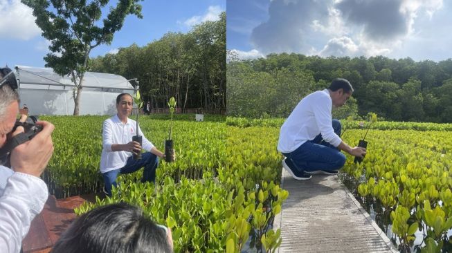 Rudal 'Nyasar' di Polandia, Jurnalis Asing Soroti Jokowi yang Asik Tanam Mangrove di G20