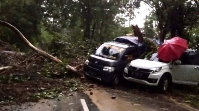 Ditemukan Lagi, Satu Penumpang Mobil Korban Tanah Longsor di Jalan Poros Malino Kabupaten Gowa