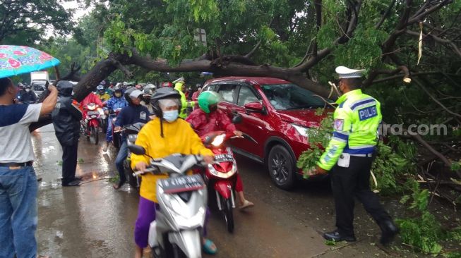 Satu Mobil Merah Tertimpa Pohon Tumbang di Cengkareng, Penumpangnya Selamat?