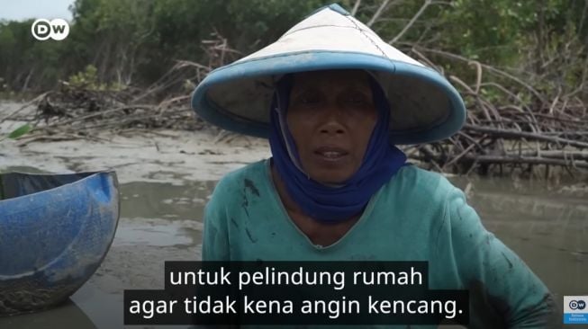 Kisah Pasijah, Perempuan Terakhir yang Menanam Bakau di Pesisir Demak