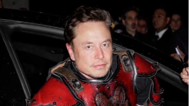Elon Musk (twitter/@elonmusk)