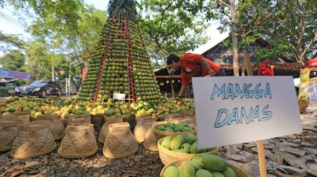 Pengunjung melihat berbagai varietas buah mangga saat Festival Mangga di Indramayu, Jawa Barat, Sabtu (19/11/2022). [ANTARA FOTO/Dedhez Anggara/rwa]