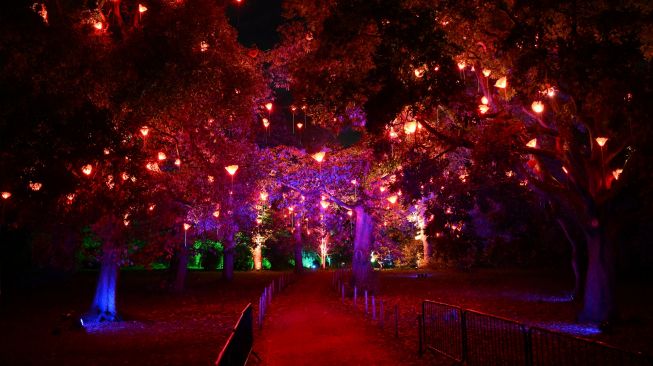 Lampu menerangi pepohonan saat perayaan natal Kew atau "Christmas at Kew" di Kew Gardens, barat daya London, Inggris, Selasa (15/11/2022). [Daniel LEAL / AFP]