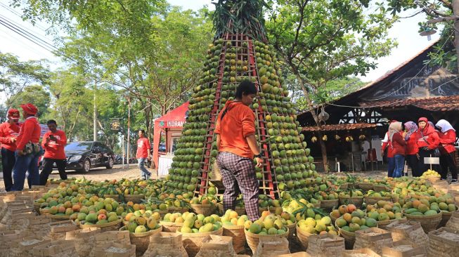 Pengunjung melihat berbagai varietas buah mangga saat Festival Mangga di Indramayu, Jawa Barat, Sabtu (19/11/2022). [ANTARA FOTO/Dedhez Anggara/rwa]
