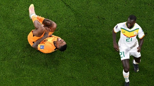 Penyerang Timnas Belanda #07 Steven Bergwijn (Kiri) mengerang kesakitan selama matchday pertama Grup A Piala Dunia 2022 antara Senegal vs Belanda di Stadion Al-Thumama di Doha pada 21 November 2022.Kirill KUDRYAVTSEV / AFP.