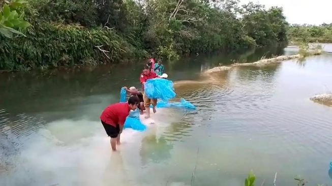 Danau Bekas Galian Tambang Pasir Disulap Jadi Kolam Ikan Nila di Banjarbaru