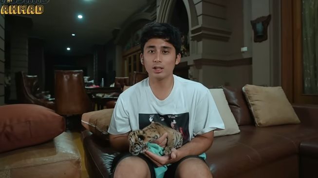 Momen Alshad Ahmad Merawat Anak Harimau (YouTube/Alshad Ahmad)