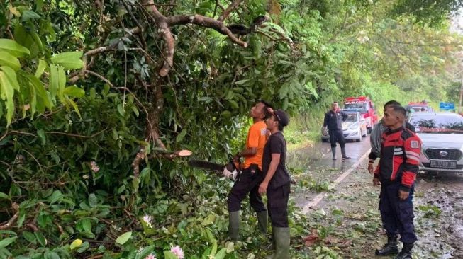 BPBD Catat 29 Bencana Alam Terjadi di Agam, Warga Diminta Waspada