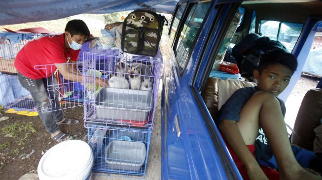 Warga memberi makan peliharanhnya saat mengungsi di mobil angkutan kota di Kampung Kuta, Cugenang, Kabupaten Cianjur, Kabupaten Bogor, Jawa Barat, Rabu (23/11/2022). [ANTARA FOTO/Yulius Satria Wijaya/foc].