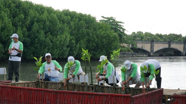 SKK Migas, KKKS dan KLHK Tanam Puluhan Ribu Mangrove untuk Tekan Emisi Karbon