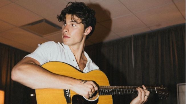 Shawn Mendes Diduga Pacari Dokter Usia 50 Tahun, Ini Faktanya!