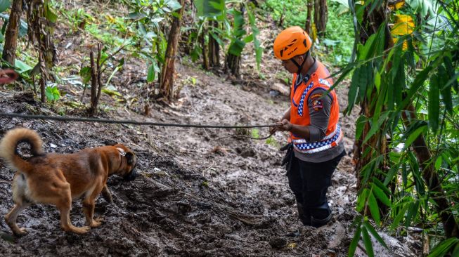 Anggota polisi menggiring anjing pelacak saat melakukan pencarian korban tertimbun longsor akibat gempa di Kampung Cijedil, Cugenang, Kabupaten Cianjur, Jawa Barat, Sabtu (26/11/2022). [ANTARA FOTO/Raisan Al Farisi/nym].