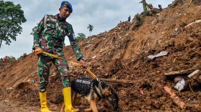 Update Korban Gempa Cianjur: Korban Meninggal Bertambah Jadi 321 Orang, 11 Orang Masih dalam Pencarian