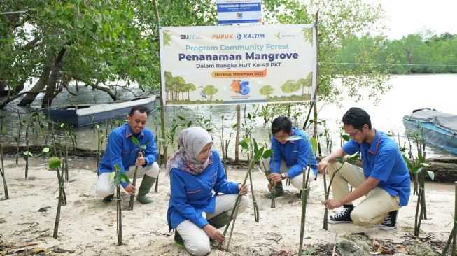 Pupuk Kaltim Tanam Ribuan Bibit Mangrove dan Media Transplantasi Terumbu di Maratua