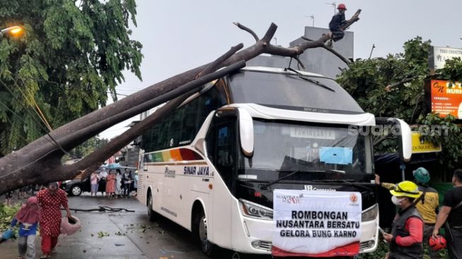 Petugas dari Badan penanggulangan Becana Daerah (BPBD) Kota Bekasi tengah melakukan evakuasi terhadap pohon tumbang, di Jl. Cendrawasih Raya, kayuringin jaya Bekasi Selatan, Kota Bekasi (Suara.com / Danan Arya)