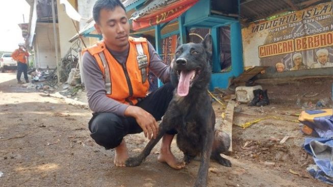 Pawang Tim K9 Mabes Polri Bripda I Gusti Agung Gede Purnama Putra berpose bersama Walet di Cugenang, Cianjur, Jawa Barat, Senin (28/11/2022) [SuaraSulsel.id/ANTARA]