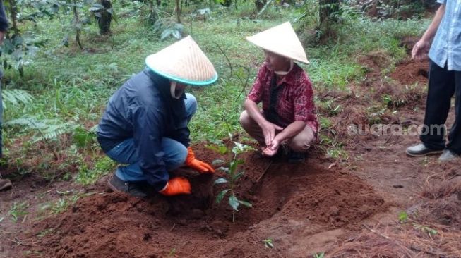 Ciptakan Desa Berkelanjutan, Desa Suntenjaya Integrasikan Manfaat Sumber Daya Alam dengan Mata Pencaharian Penduduk