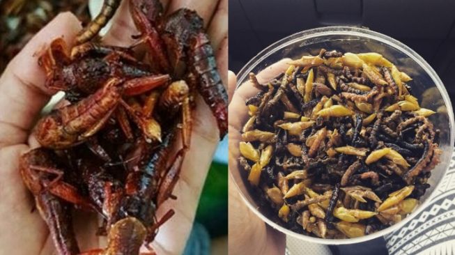 Deretan Kuliner Ekstrem di Jogja, Siapa yang Berani Makan?