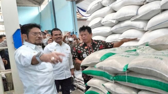 Kementan Surati Dirut Bulog, Minta 610.632 Ton Beras dari 24 Provinsi Segera Diserap