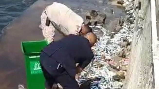 Bukan Diracun, Polisi Klaim Ribuan Ikan Menepi ke Pantai Mutiara Akibat Fenomena Alam