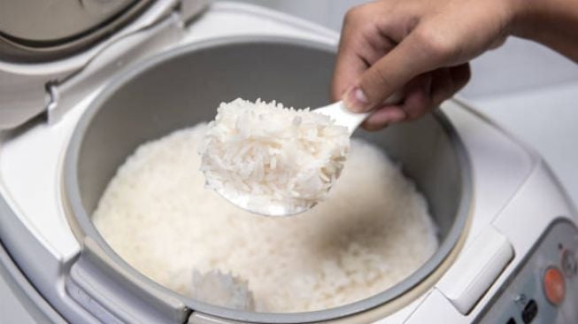 Segini Anggaran Buat Bagi-bagi 680 Ribu Rice Cooker Gratis, Apa Tujuannya?