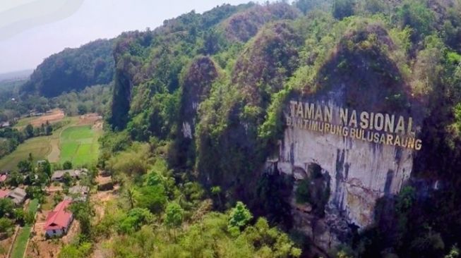 Taman nasional Bantimurung [SuaraSulsel.id/Dokumentasi Kementerian Lingkungan Hidup]