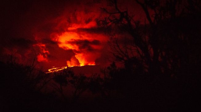 Penampakan Gunung Mauna Loa yang Meletus di Hawaii, Senin (28/11/2022). [Ronit FAHL / AFP]