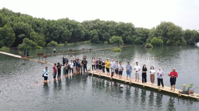 Universitas Prasetiya Mulya melakukan gerakan penanaman 1.454 bibit mangrove di Kawasan Mangrove Pulau Harapan dan Taman Wisata Alam Mangrove Angke, Kapuk, Jakarta.