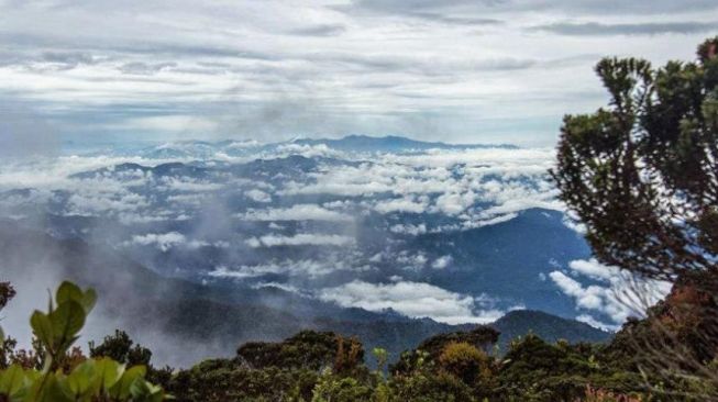 Gunung Bukit Raya. (pariwisata Kalimantan Tengah)