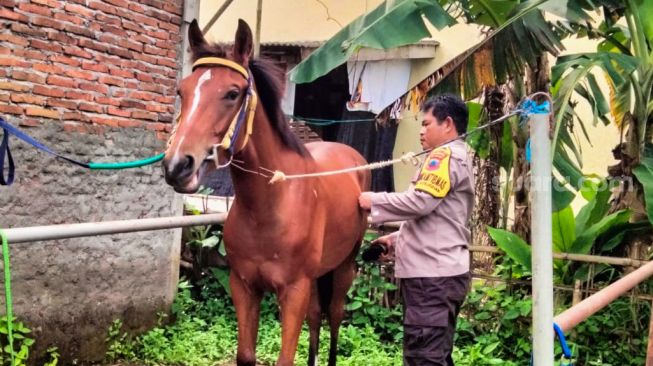 Wawancara Eksklusif Pak Bhabin Polsek Kesugihan: Tak Gugup Meski Dipercaya Jadi Kusir Kereta Kencana Kaesang-Erina