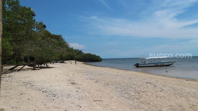 Keindahan pemandangan di Pantai Bama yang terletak di kawasan Taman Nasional Baluran, Jawa Timur, Jumat (2/12/2022). (Suara.com/Rima Sekarani)