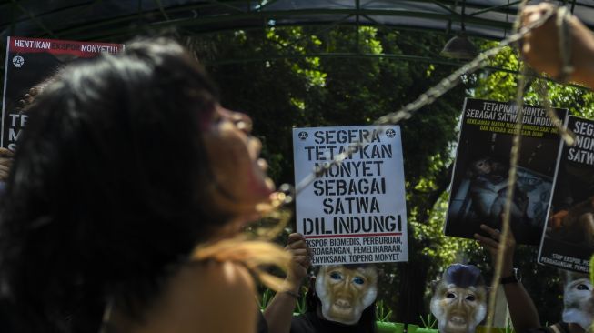 Pengunjuk rasa yang tergabung dalam Koalisi Primates Fight Back menggelar aksi teatrikal di depan Kantor Kementerian LHK, Jakarta, Senin (12/12/2022). Mereka mendesak pemerintah segera menetapkan monyet sebagai satwa dilindungi. [ANTARA FOTO/Galih Pradipta].