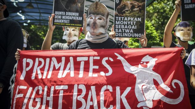 Pengunjuk rasa yang tergabung dalam Koalisi Primates Fight Back menggelar aksi teatrikal di depan Kantor Kementerian LHK, Jakarta, Senin (12/12/2022). Mereka mendesak pemerintah segera menetapkan monyet sebagai satwa dilindungi. [ANTARA FOTO/Galih Pradipta].