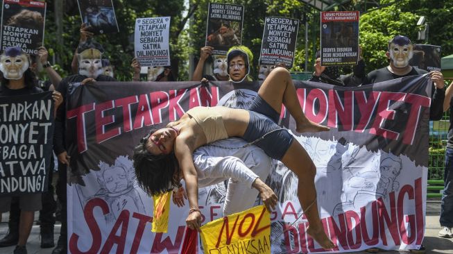 Pengunjuk rasa yang tergabung dalam Koalisi Primates Fight Back menggelar aksi teatrikal di depan Kantor Kementerian LHK, Jakarta, Senin (12/12/2022). Mereka mendesak pemerintah segera menetapkan monyet sebagai satwa dilindungi. [ANTARA FOTO/Galih Pradipta].