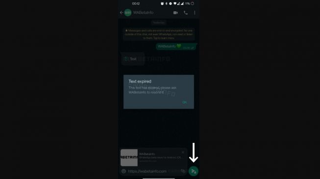 Uji coba fitur baru WhatsApp, View Once (lihat sekai) di pesan teks. [WABetaInfo]