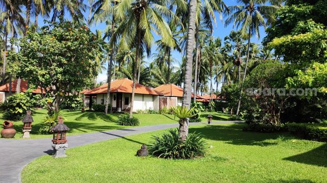 Suasana nyaman dan family friendly ditawarkan Ketapang Indah Hotel di Banyuwangi, Jawa Timur. (Suara.com/Rima Sekarani)