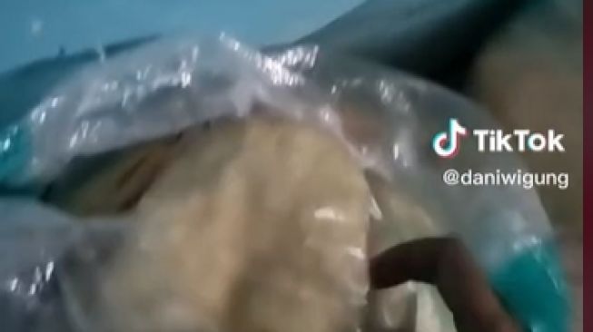 Potret Rewang di Hajatan Kaesang-Erina (TikTok/daniwigung)