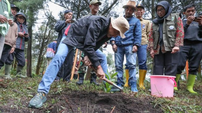 Perkuat Industri Pariwisata di Dieng, Ganjar Ikut Tanam 283.000 Kopi Bersama Petani Milenial