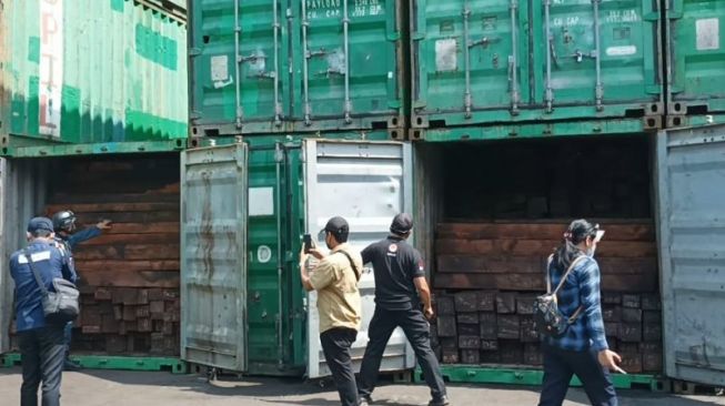 Bisnis Haram Perusakan Hutan Papua Terungkap, 57 Kontainer Kayu Ilegal Diamankan