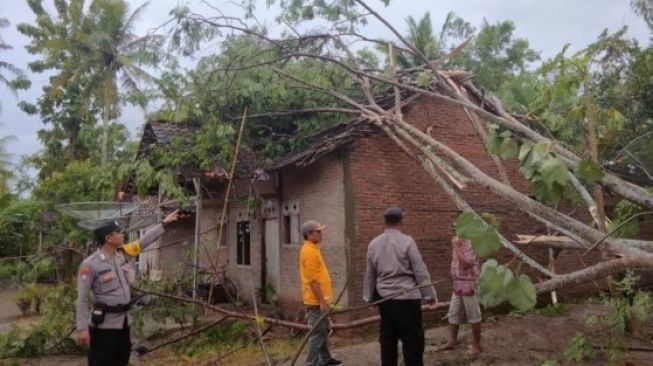 Angin Puting Beliung Porak Porandakan 23 Rumah Warga Kresnomulyo Ambarawa 