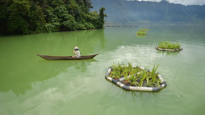 Nelayan melintas di kawasan konservasi Wetland, Danau Maninjau, Jorong Tanjung Sani, Nagari Sungai Batang, Kabupaten Agam, Sumatera Barat, Sabtu (17/12/2022). [ANTARA FOTO/Iggoy el Fitra/rwa]